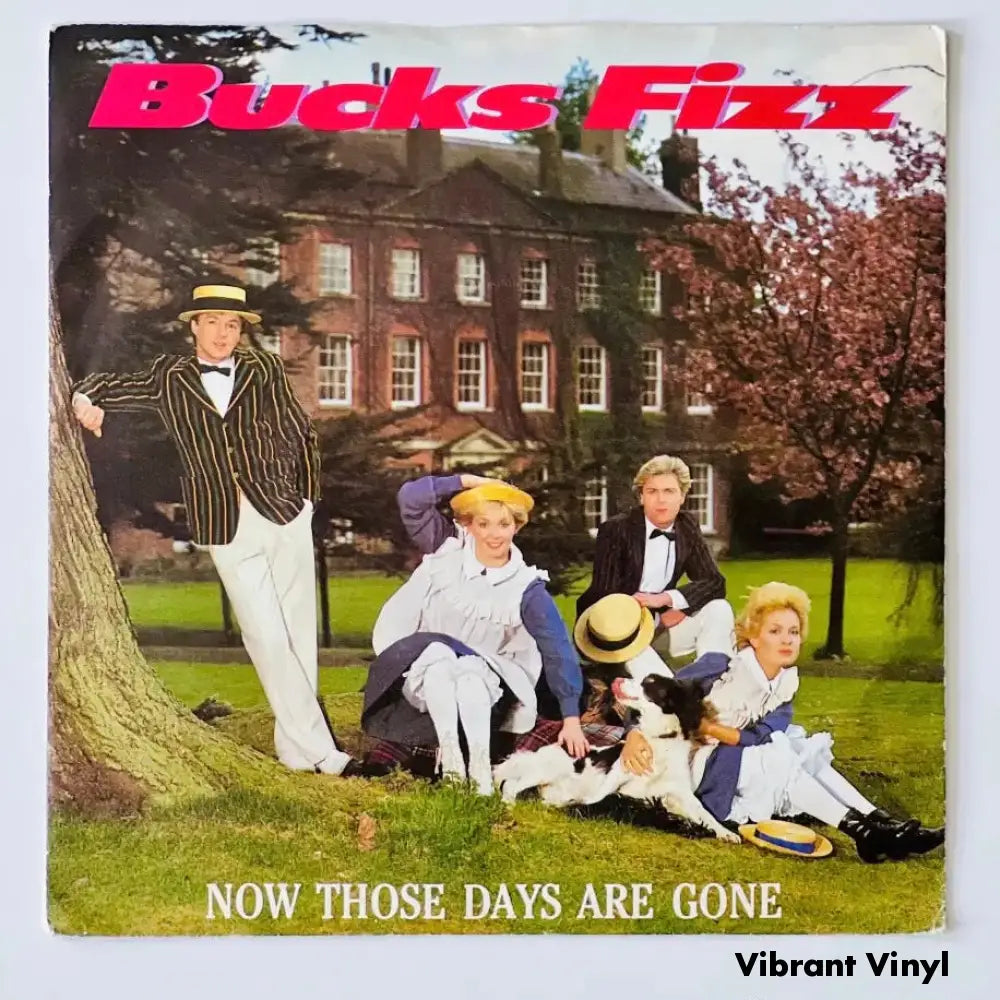 Bucks Fizz - Now Those Days Are Gone - 7in Single Picture Sleeve Single