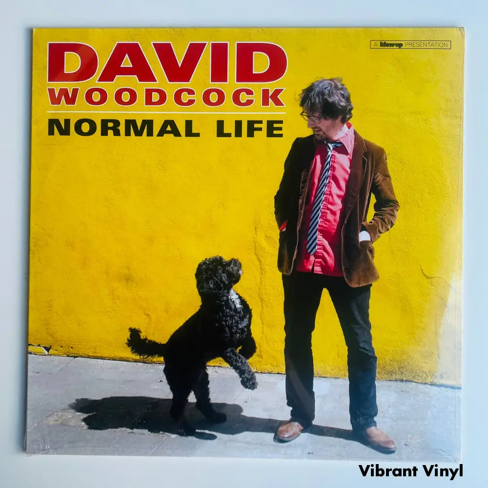 David Woodcock - Normal Life - 12in Album Picture Sleeve Album