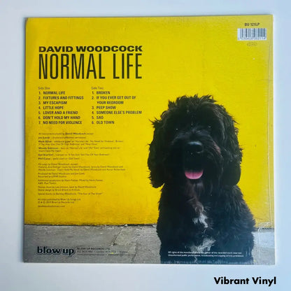 David Woodcock - Normal Life - 12in Album Picture Sleeve Album