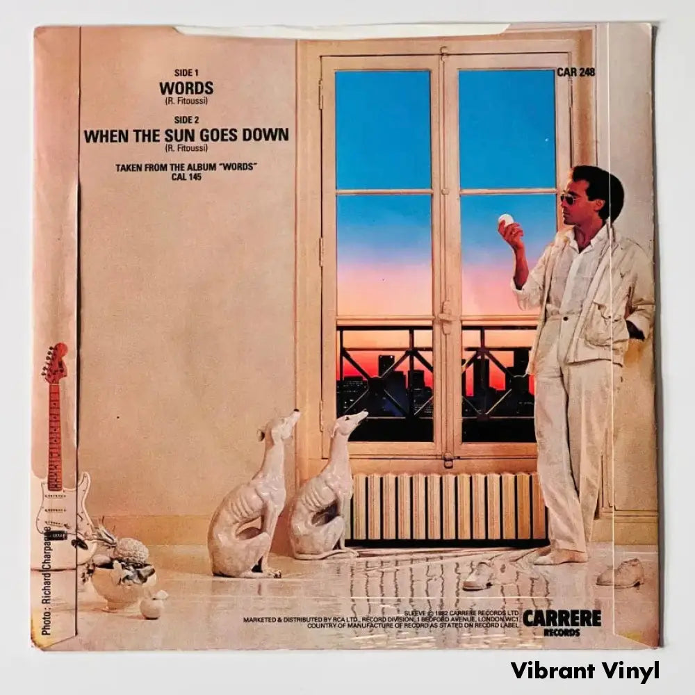 F.R David - Words - 7in Single Picture Sleeve Single