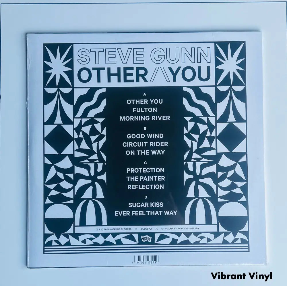 Steve Gunn - Other You - 12in Album Picture Sleeve Album